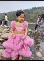 Kids Party Dress for Girls | Premium AC Net Fabric Dress - Image 5